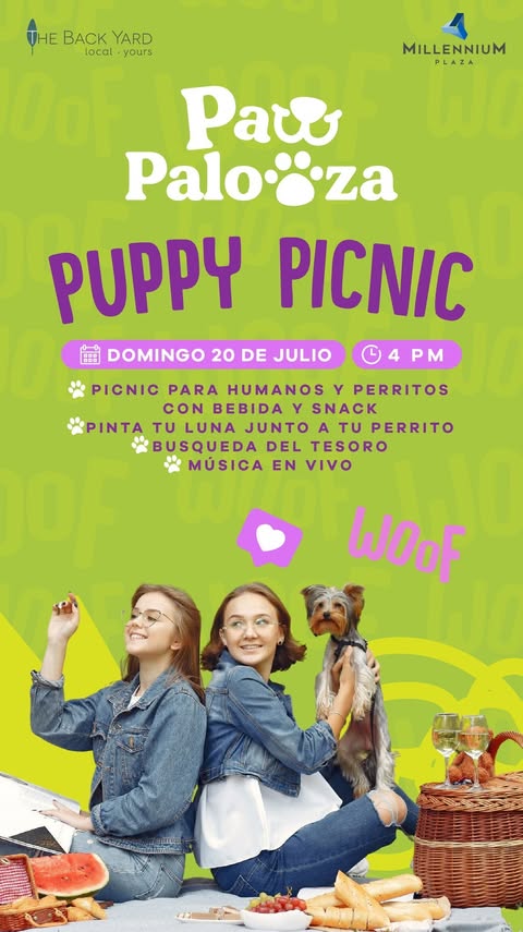 ✨ Picnic con bebidas y snacks para humanos y perritos 🐶