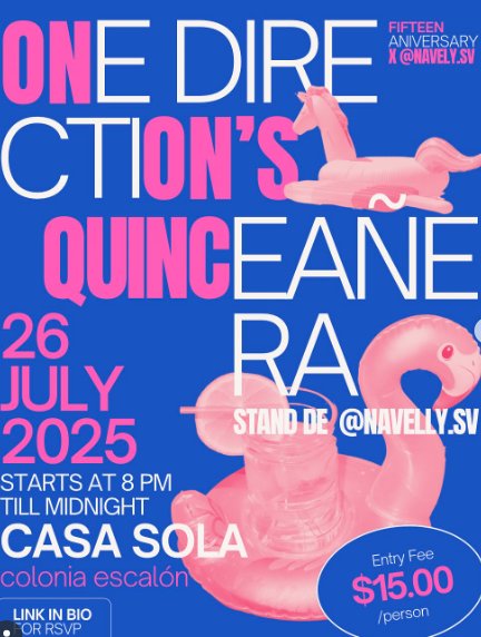 🎉 Fiesta por los XV años de One Direction 🎉
