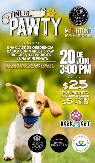 CLASE DE OBEDIENCIA: Time to Pawty 🐕