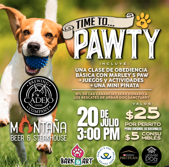 🐶🎨 ¡Time to Pawty en la montaña!