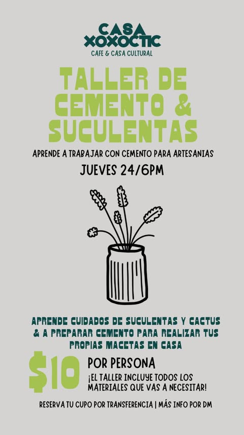 🌱 TALLER DE CEMENTO & SUCULENTAS 🪴