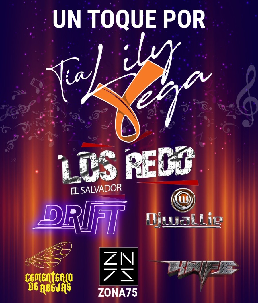 Con-Cierto Solidario para Lily Vega