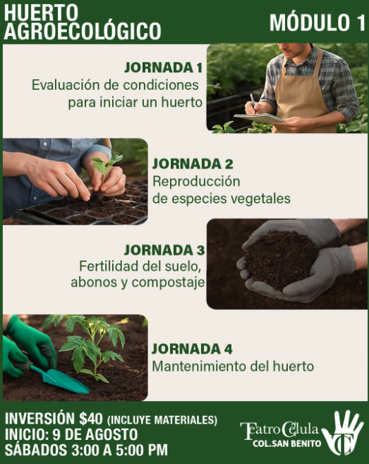 Taller . Huerto Agroecológico 