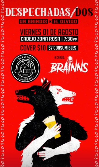 🎉 ESPECIAL DE DESPECHADAS/DOS 🎉