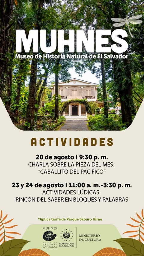 Actividades lúdicas en el Museo de Historia Natural de El Salvador (MUHNES) 🦖🌿