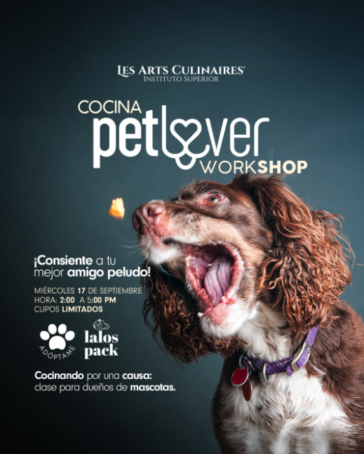 🐾 ¡Cocina para tu mejor amigo peludo! 🐶