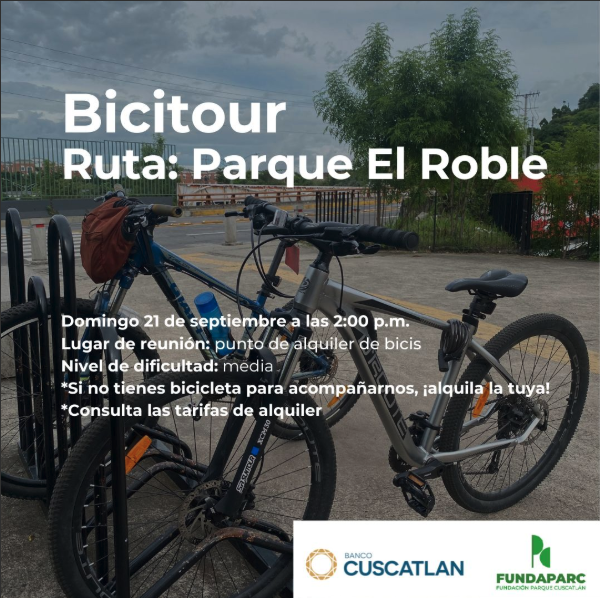 DOMINGO DE BICITOUR