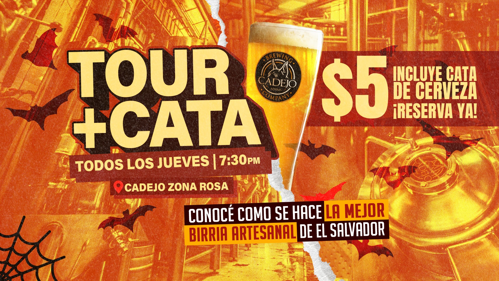 TOUR + CATA por solo $5 😱