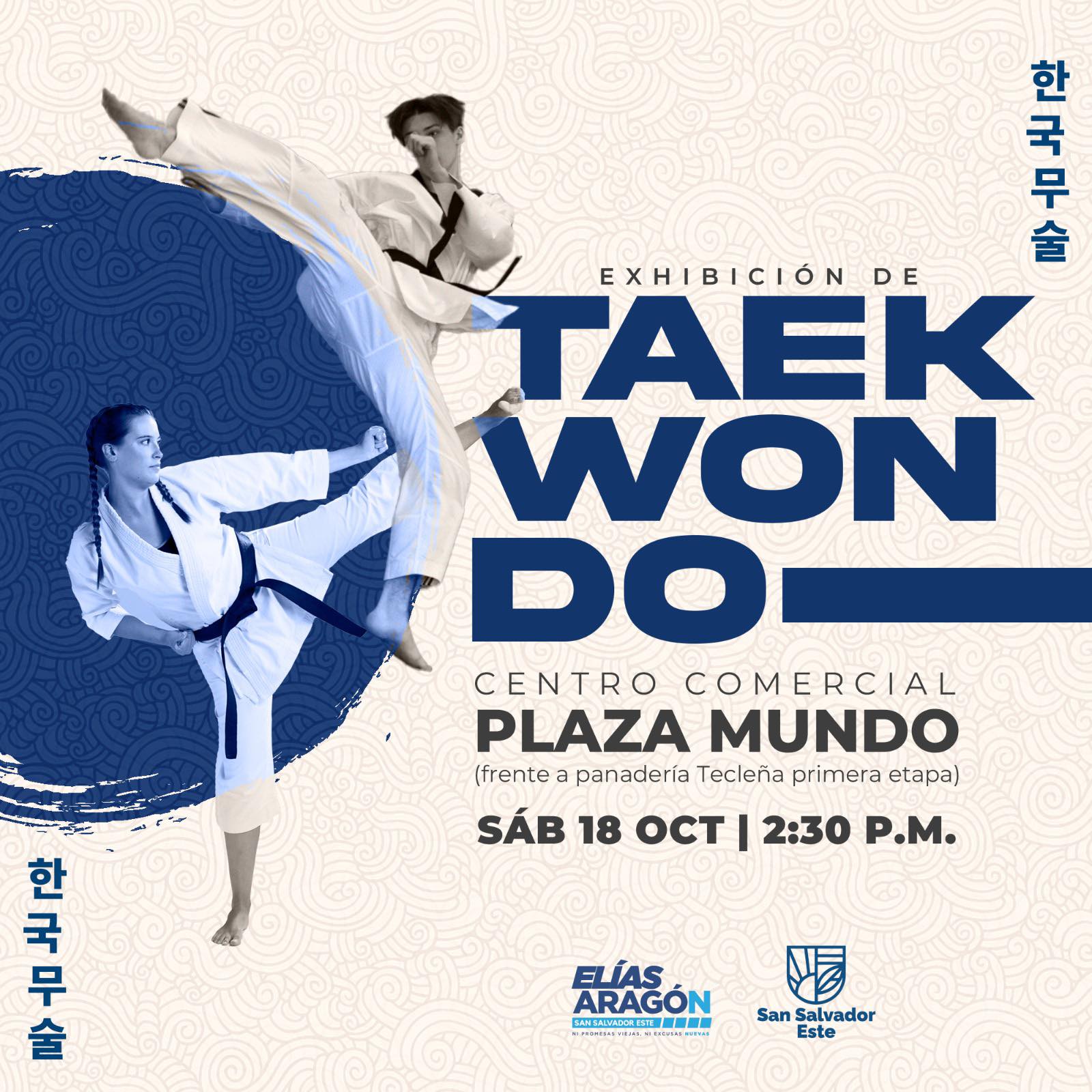 Exhibición De Taek Wondo