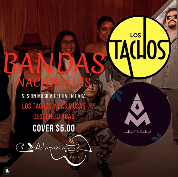 🎶 Festival Música Hecha en Casa Con Los Tachos Y Las Musas Desconectadas