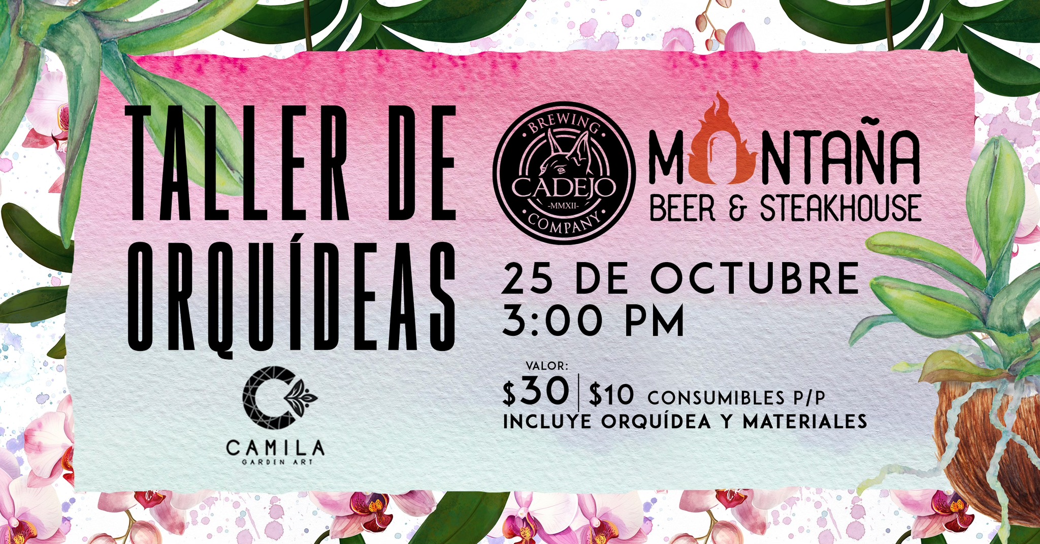 🌸 TALLER DE ORQUÍDEAS 🌸