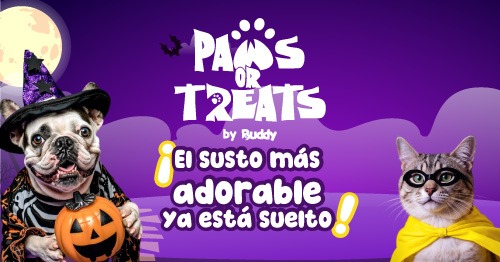 Paws or Treats by Buddy 🐶🐱