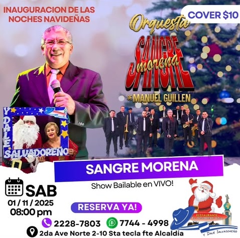 La Navidad comienza con música en vivo! 🎶