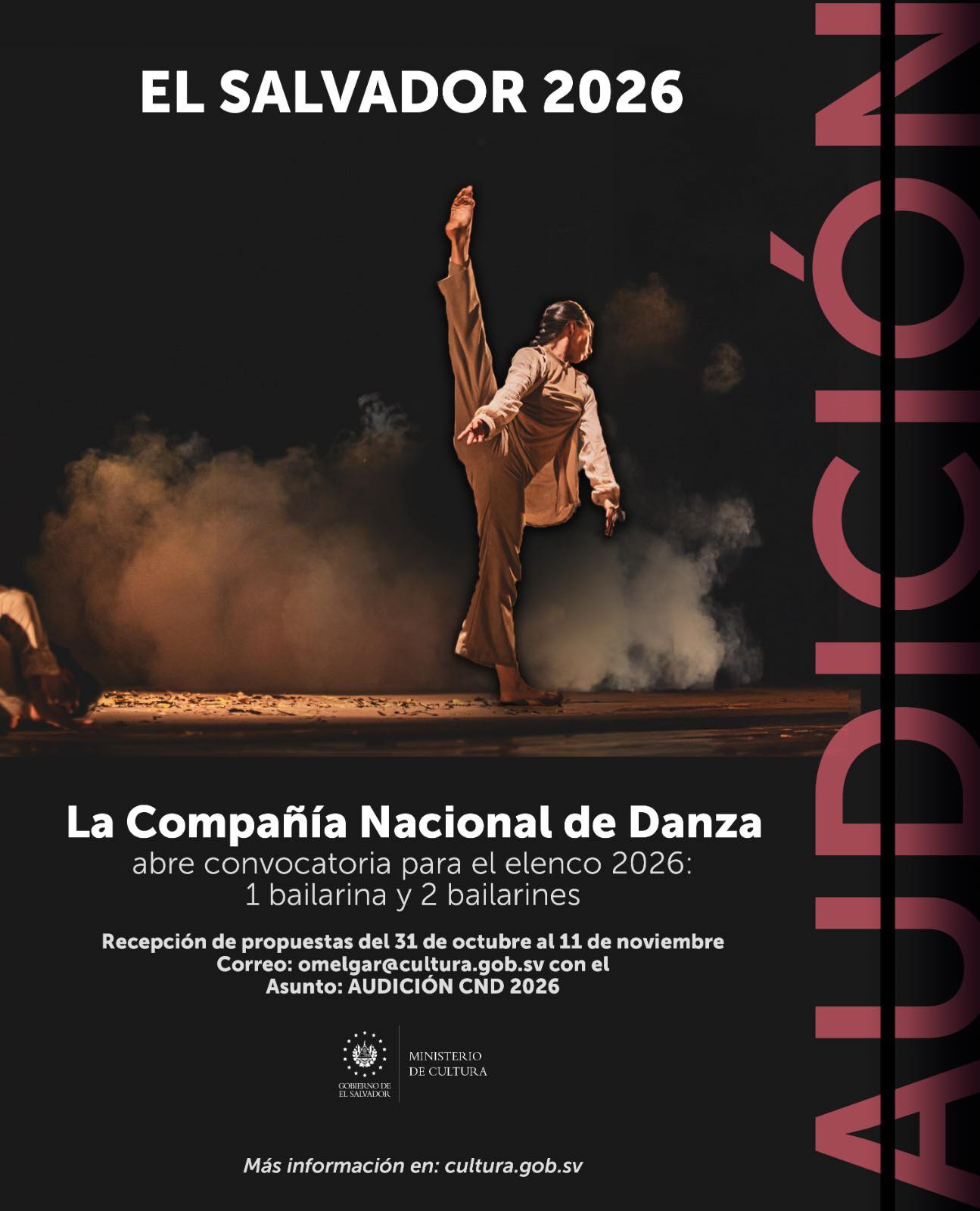 Convocatoria para el elenco de Danza 2026: 1 bailarina y 2 bailarines