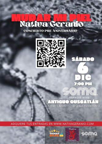 Concierto: Mudar De Mi Piel 