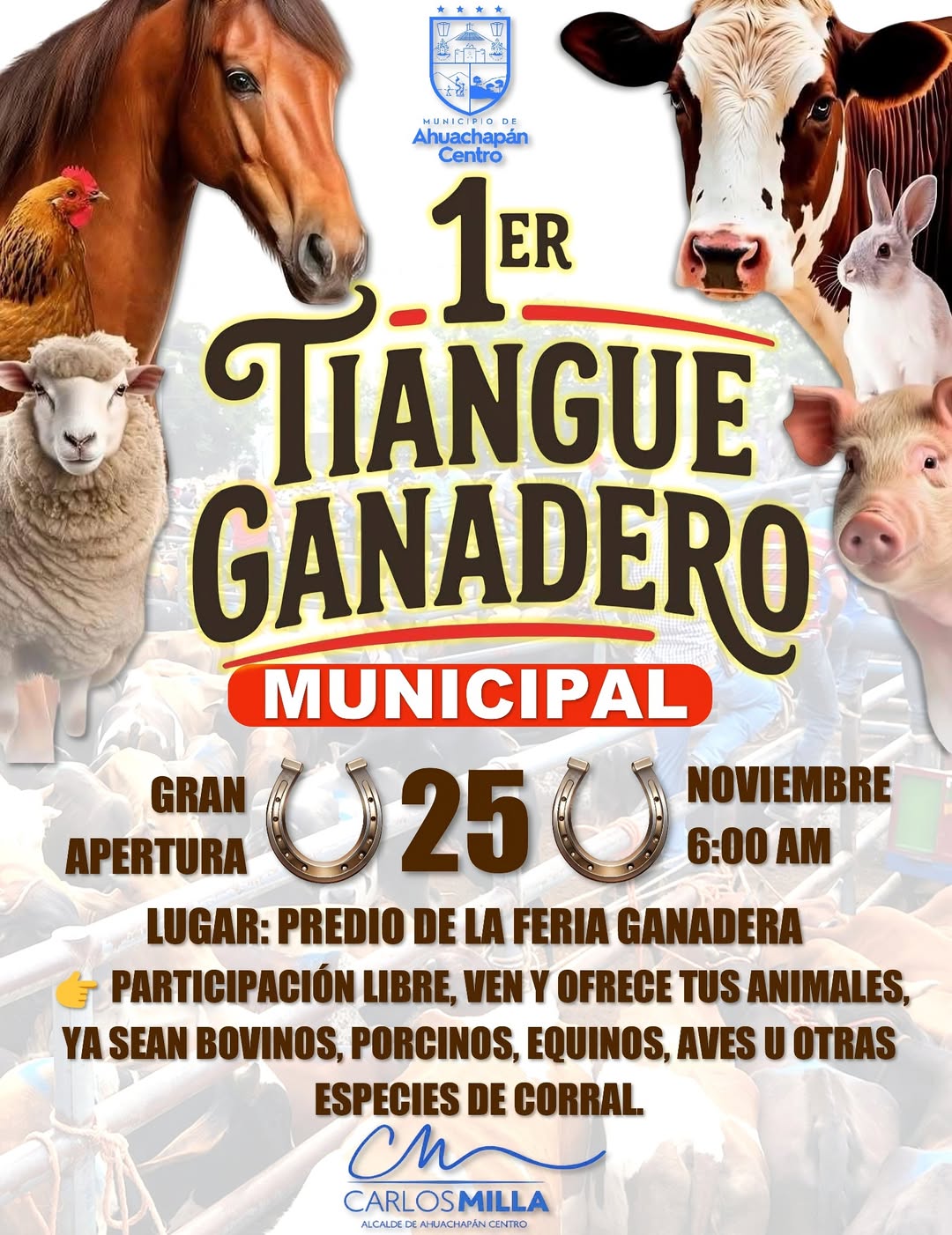 1er Tiangue Ganadero Municipal