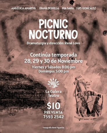 🎭 PICNIC NOCTURNO
