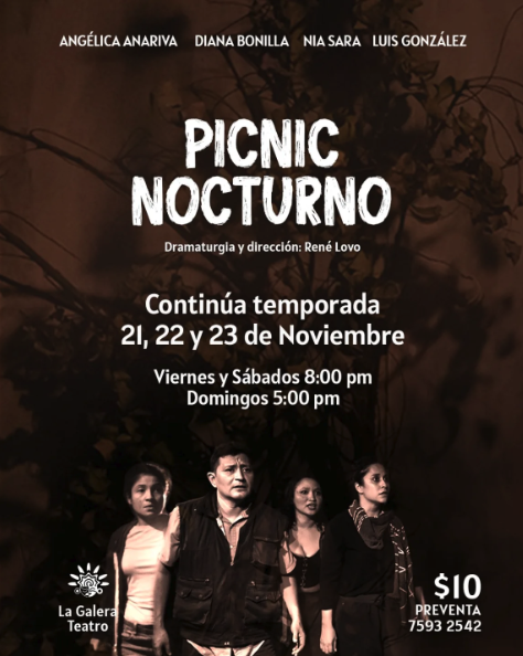 Obra De Teatro: Picnic Nocturno