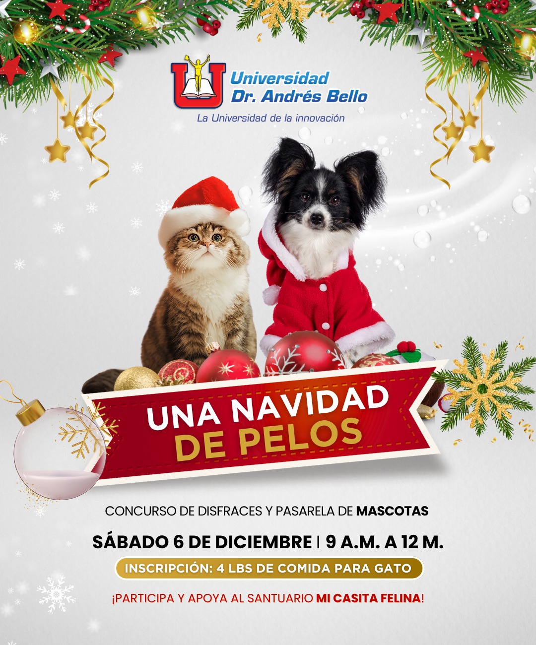 🎄🐾 ¡Concurso de Disfraces y Pasarela de Mascotas! 🐾🎄