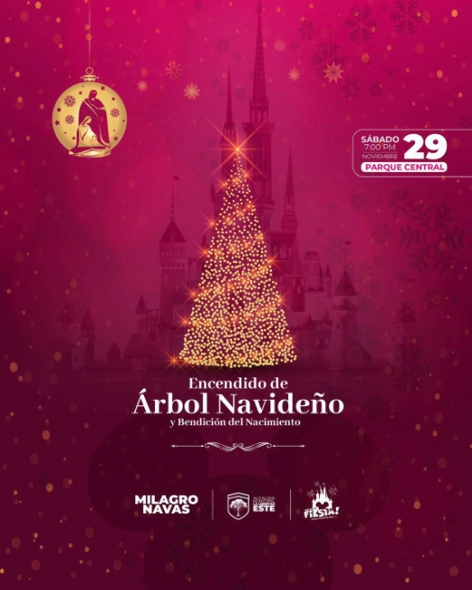 Encendido del Árbol Navideño 🎄