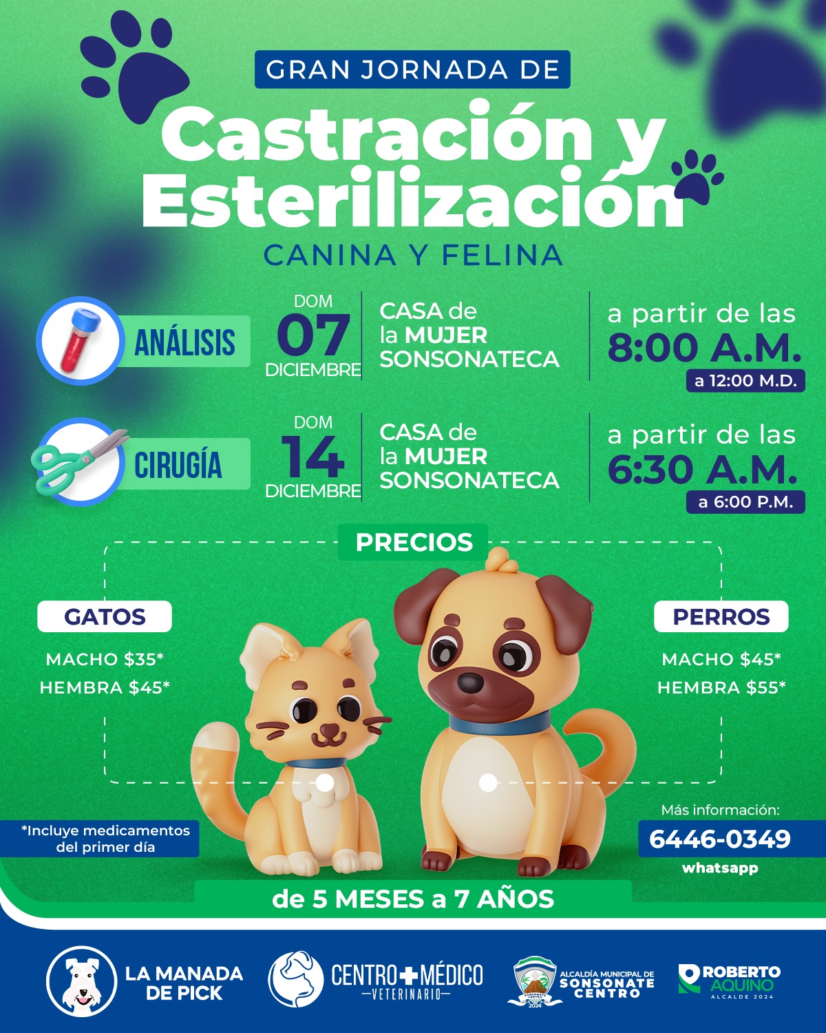 ✂️ Segunda Jornada: Cirugías 🐱