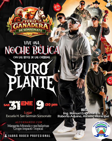 Noche Bélica Con Puro Plante