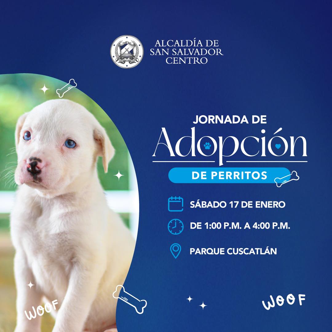 Jornada De Adopción 
