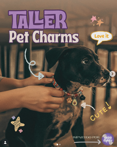 Taller de Pet Charms🐶💖